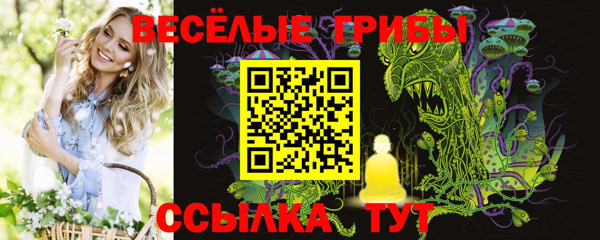 Галлюциногенные грибы MAGIC MUSHROOMS  Галлюциногенные грибы Psilocybine cubensis  Вход с VPN  Ирбит 